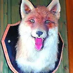 Aranyszarvas-goldener Hirsch 3*