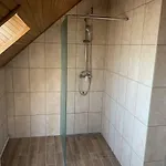 Aranyszarvas-goldener Hirsch 3*